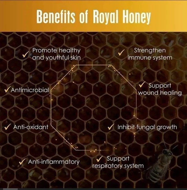 Kinohimitsu Wild Tualang Honey 500g