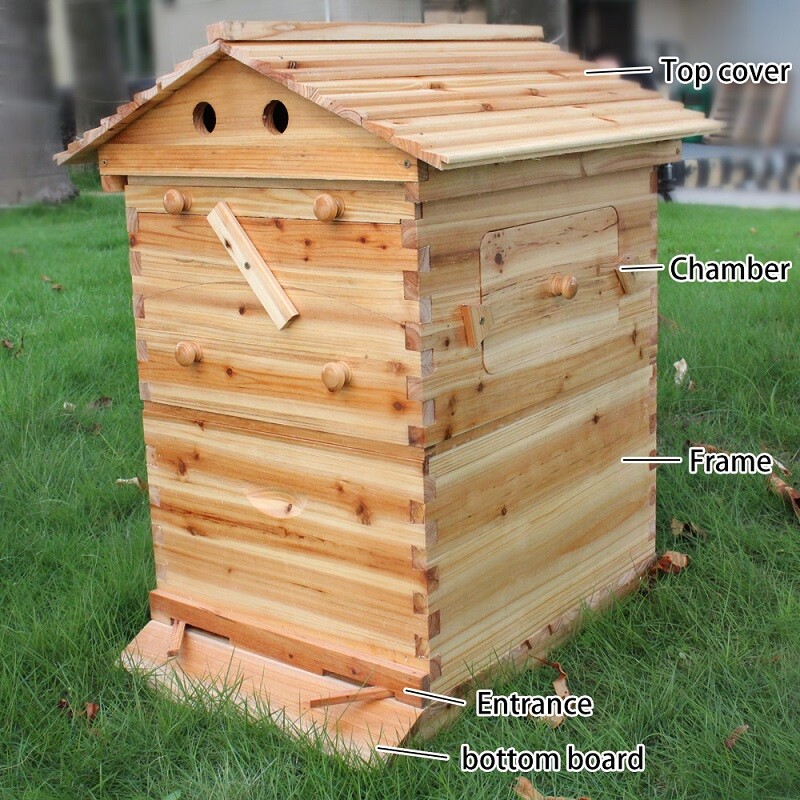 Certified Waxed Wooden AUTO Shed Beehive BeeHives 7 Plastic Beekeeping Frames