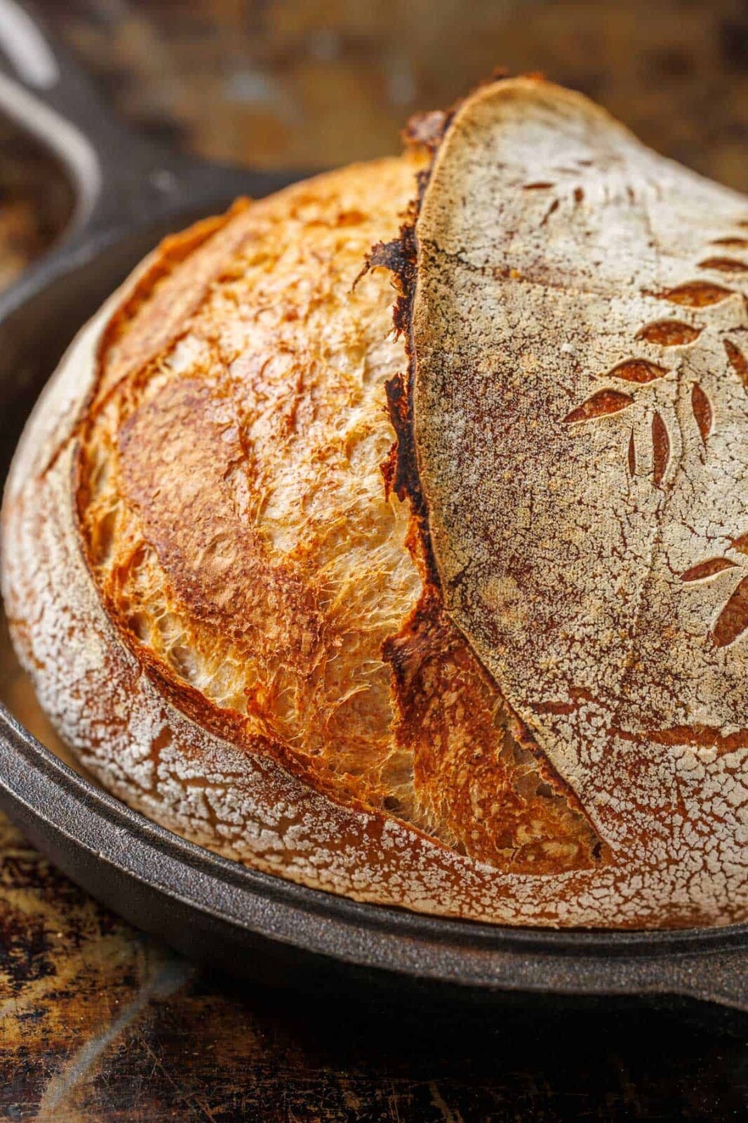 EASY Sourdough Starter Heritage San Francisco – Live 200yrs Old TOP SELLER!