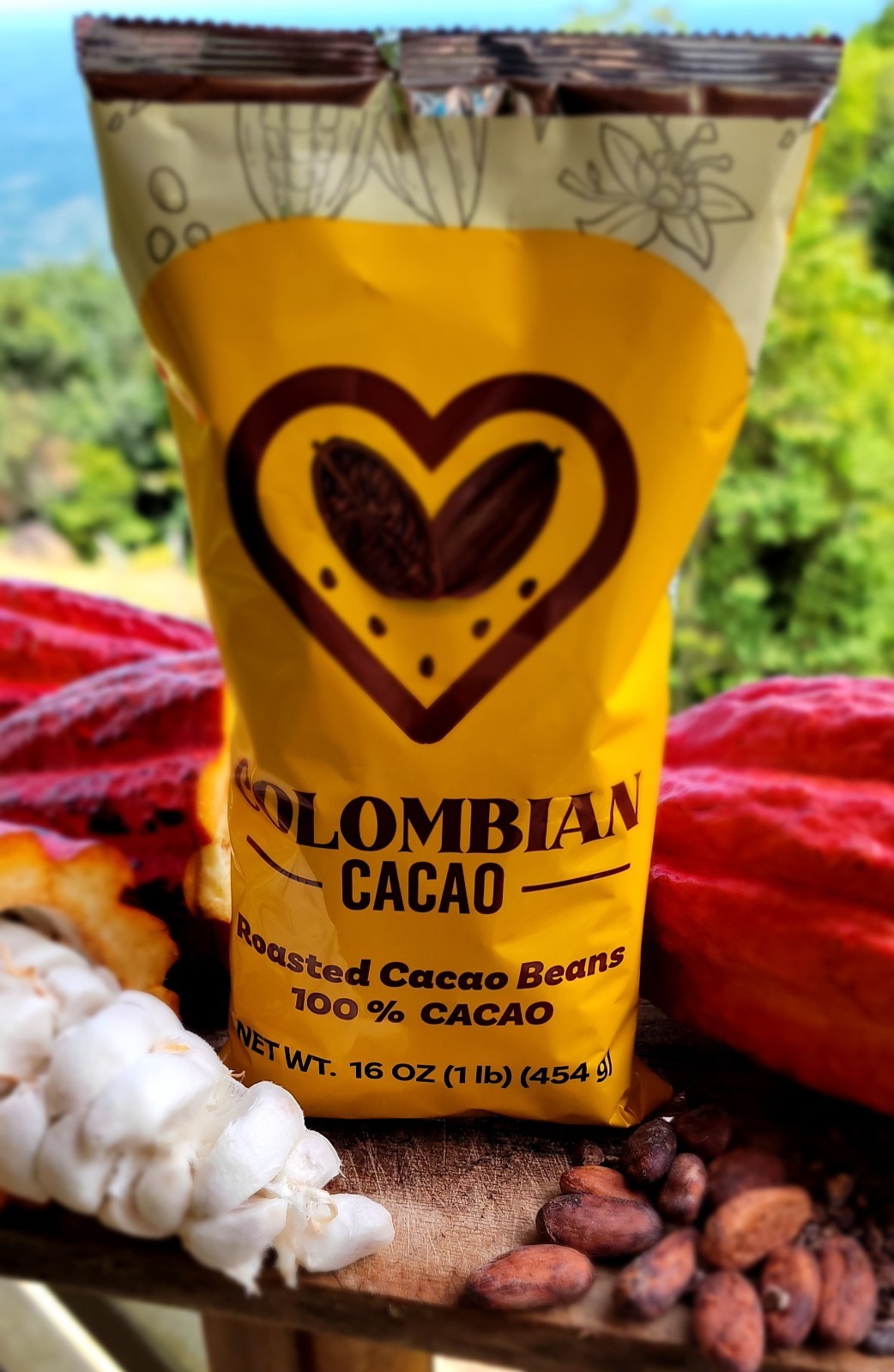 2 Pack Roasted Colombian Cacao Beans – 100% Natural, Single Origin (2 x 16 oz)