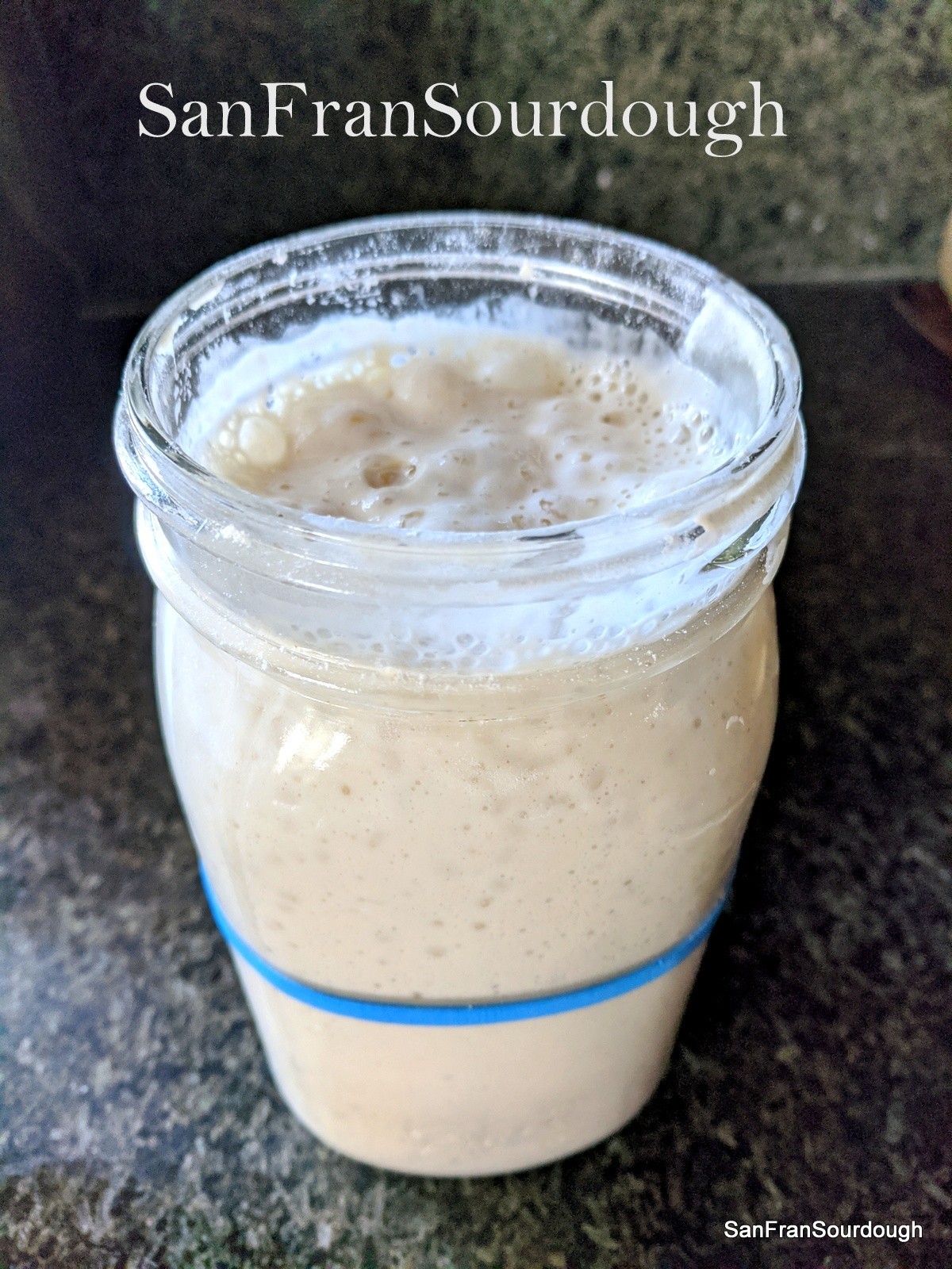 Sourdough Starter San Francisco California Yeast Bacteria baking bread pastry