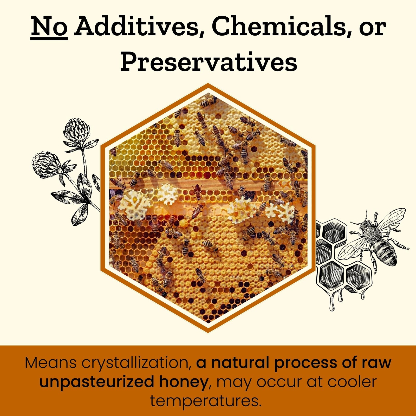 Altay Raw Acacia Honey – 100% Pure, Unfiltered, Unpasteurized, Ethically Sour…