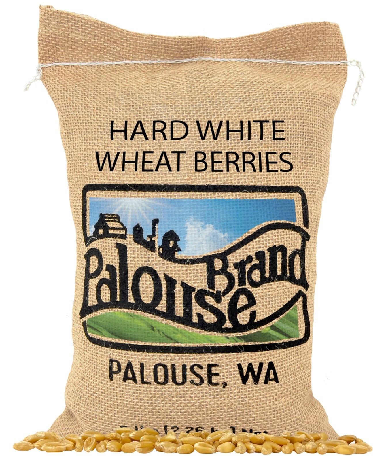 Non-GMO Hard White Wheat Berries – Glyphosate Residue Free, 5 LBS, Kosher