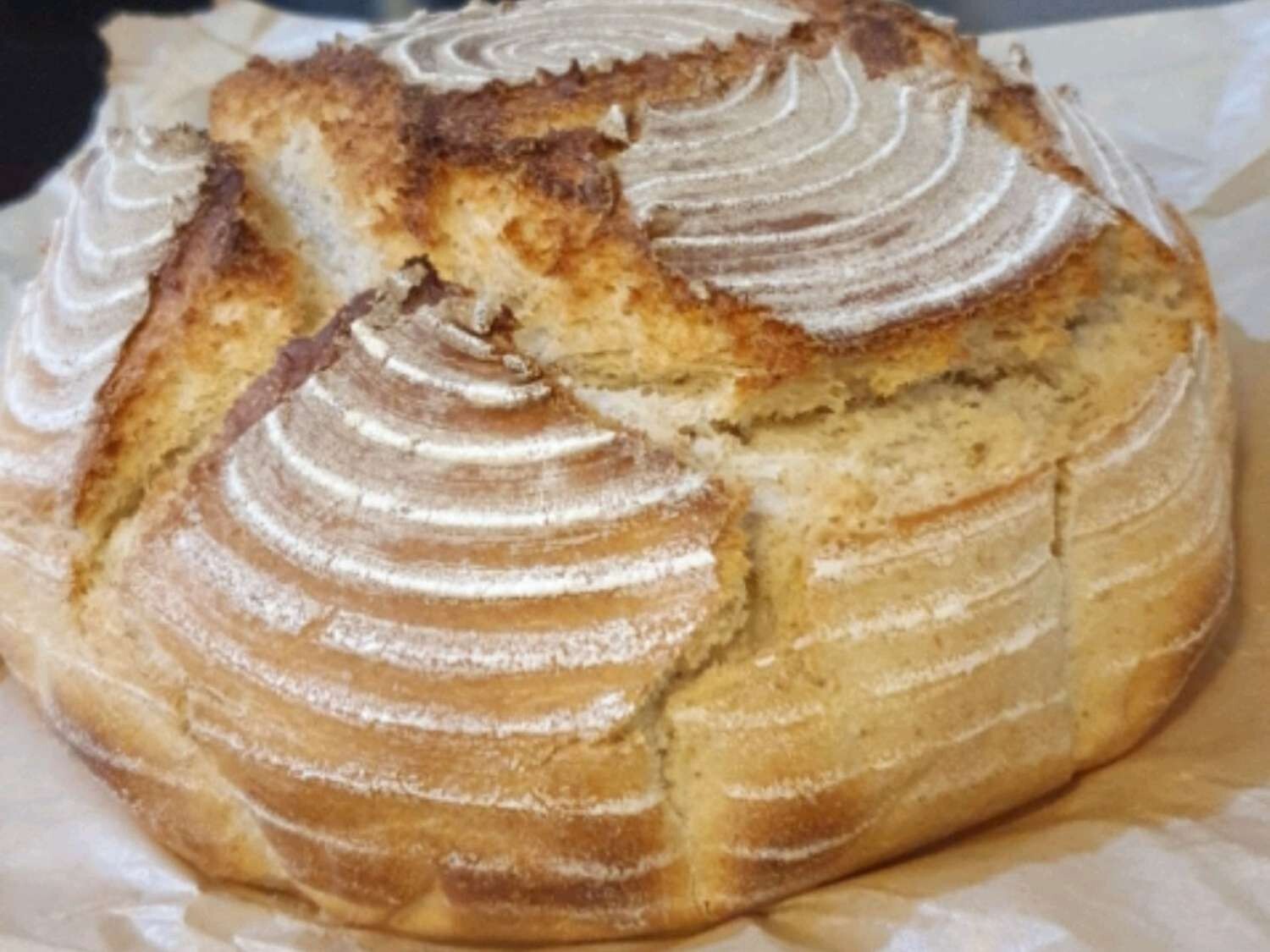 San Francisco Sourdough Starter from 1810 Heritage Boudin’s Bakery – 15 Gram Bag