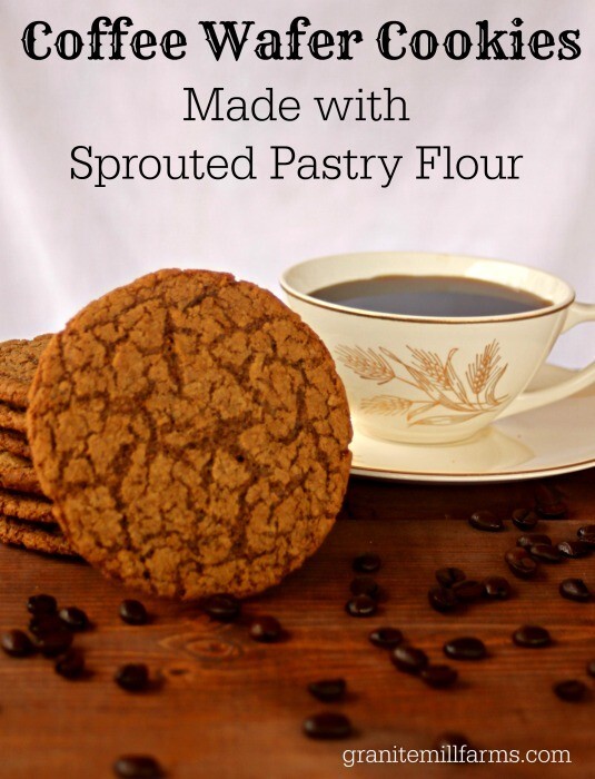 Stone Ground Sprouted Organic Pastry Flour, 30 oz
