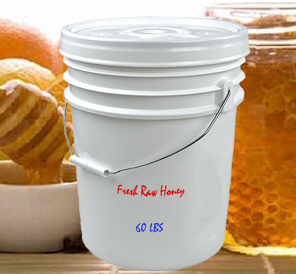 Raw Unfiltered White Honey!! – 60 LBS – Bulk Raw 5 Gallons Light Colored Honey