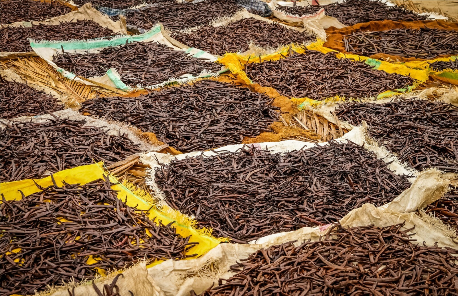Tahitian Vanilla Beans | Whole Grade A Pods for Cooking, Baking & Extract Making