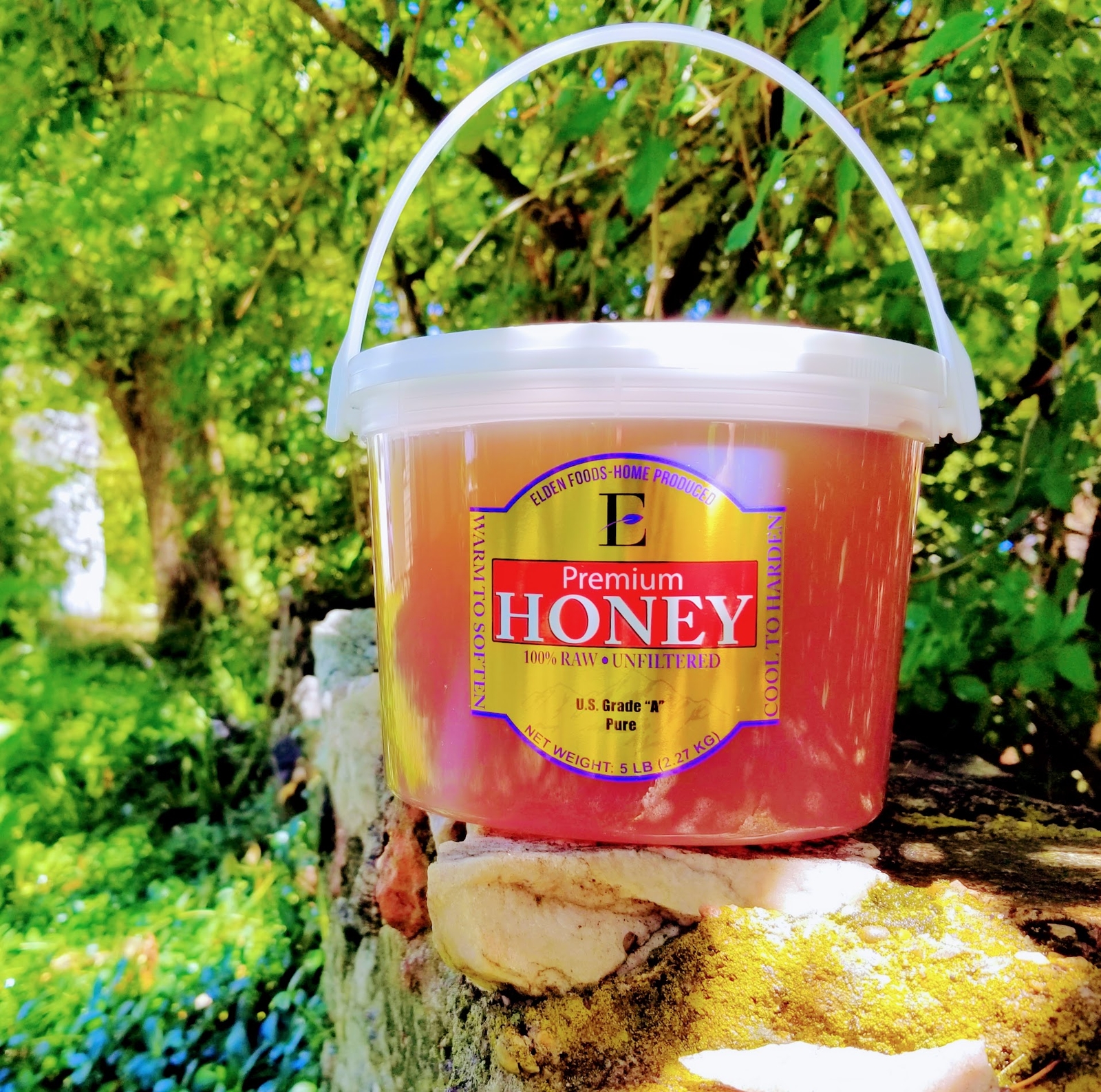 100% Pure Honey from California – Very Delicious! Citrus, Raw Honey – 5 lbs