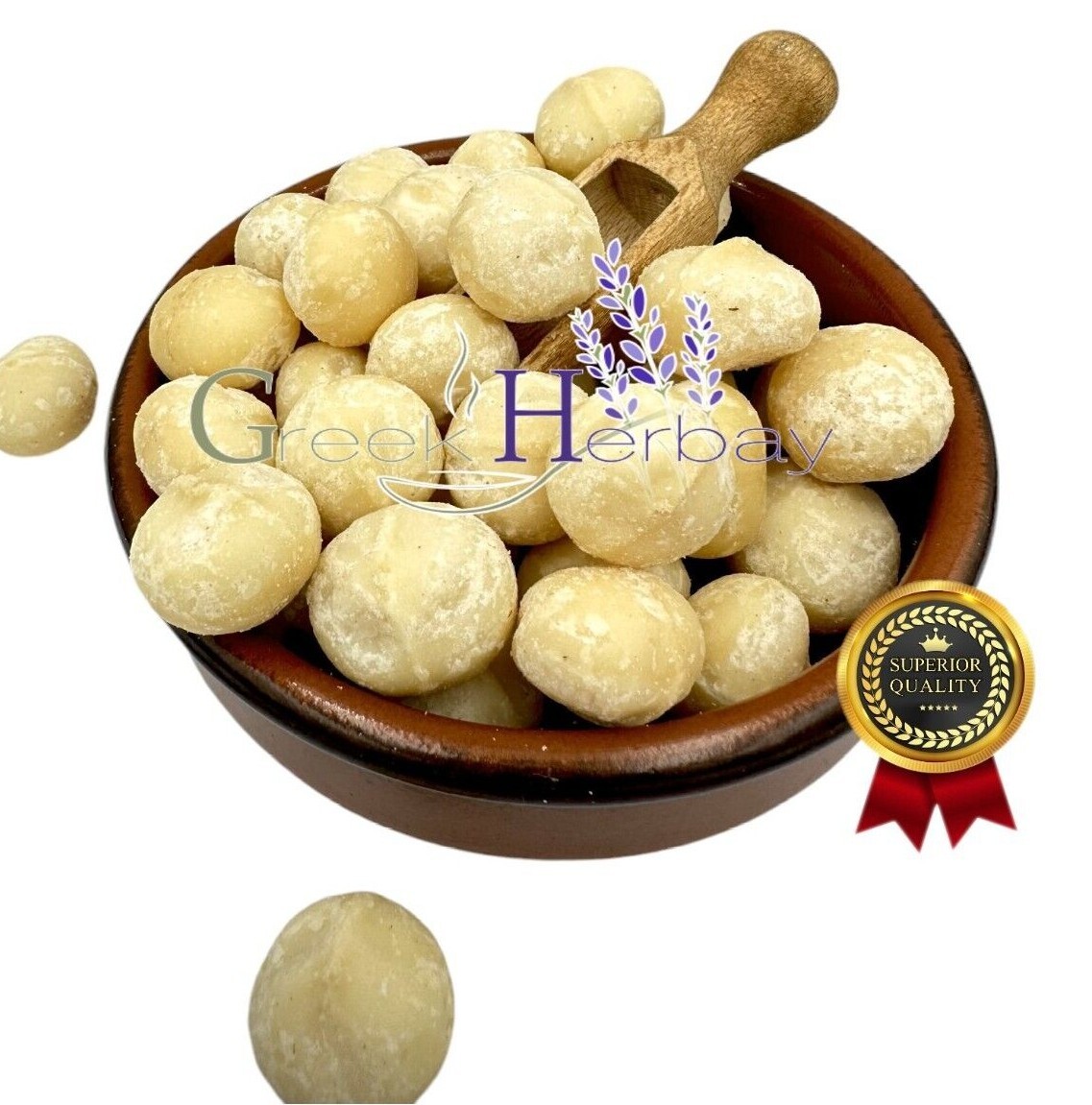 Raw Macadamia Dried Nuts – Macadamia Metraphylla 20g-1.9kg