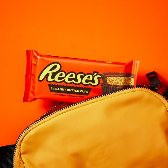 Reese’s Peanut Butter Cups 6 Pack 1.5oz Milk Chocolate Candy Bars Snack Size Bul