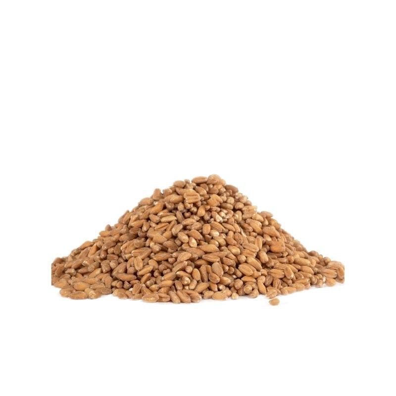Bob’s Red Mill Organic Farro Grain 24 Oz free shipping