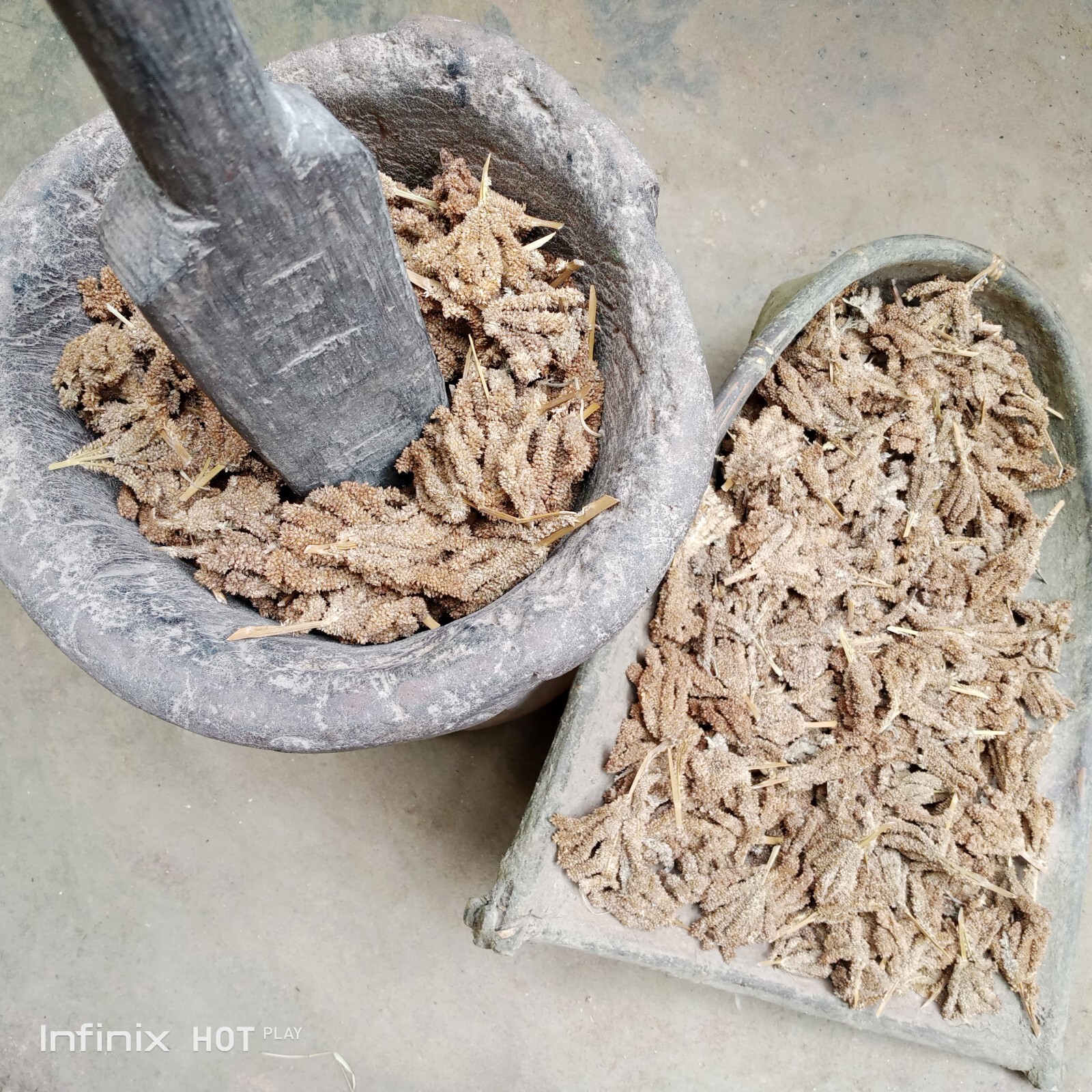 Ceylon Quality Finger Millet Flour/powdered Kurakkan From Traditional Mixer
