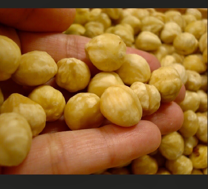 Turkish Blanched Shelled Hazelnut Always Fresh 2025 Crop 11 oz.to30 lbs. Agro Su