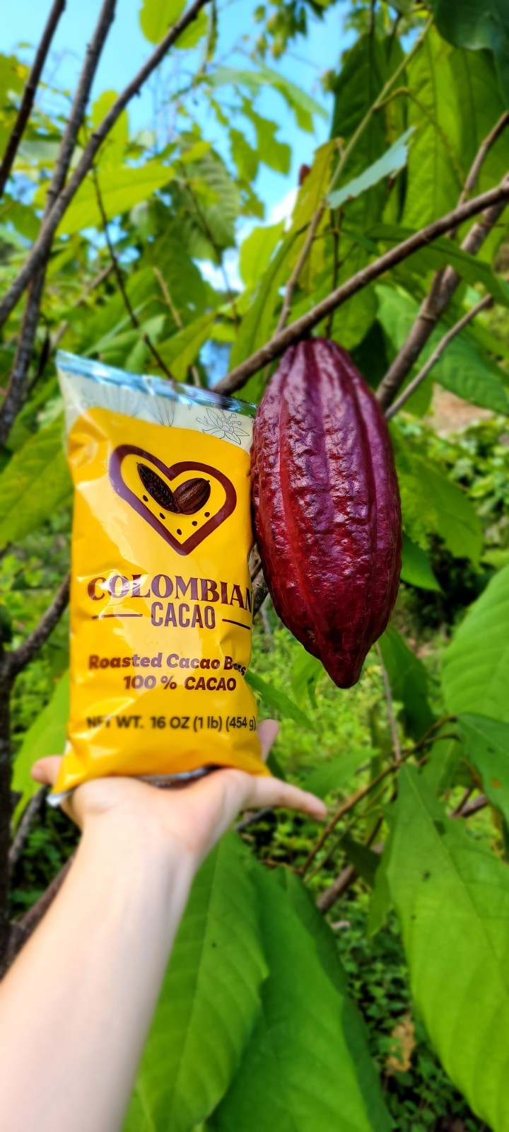 Roasted Cacao Beans | 100% Pure Colombian Cacao | Natural Chocolate Superfood |