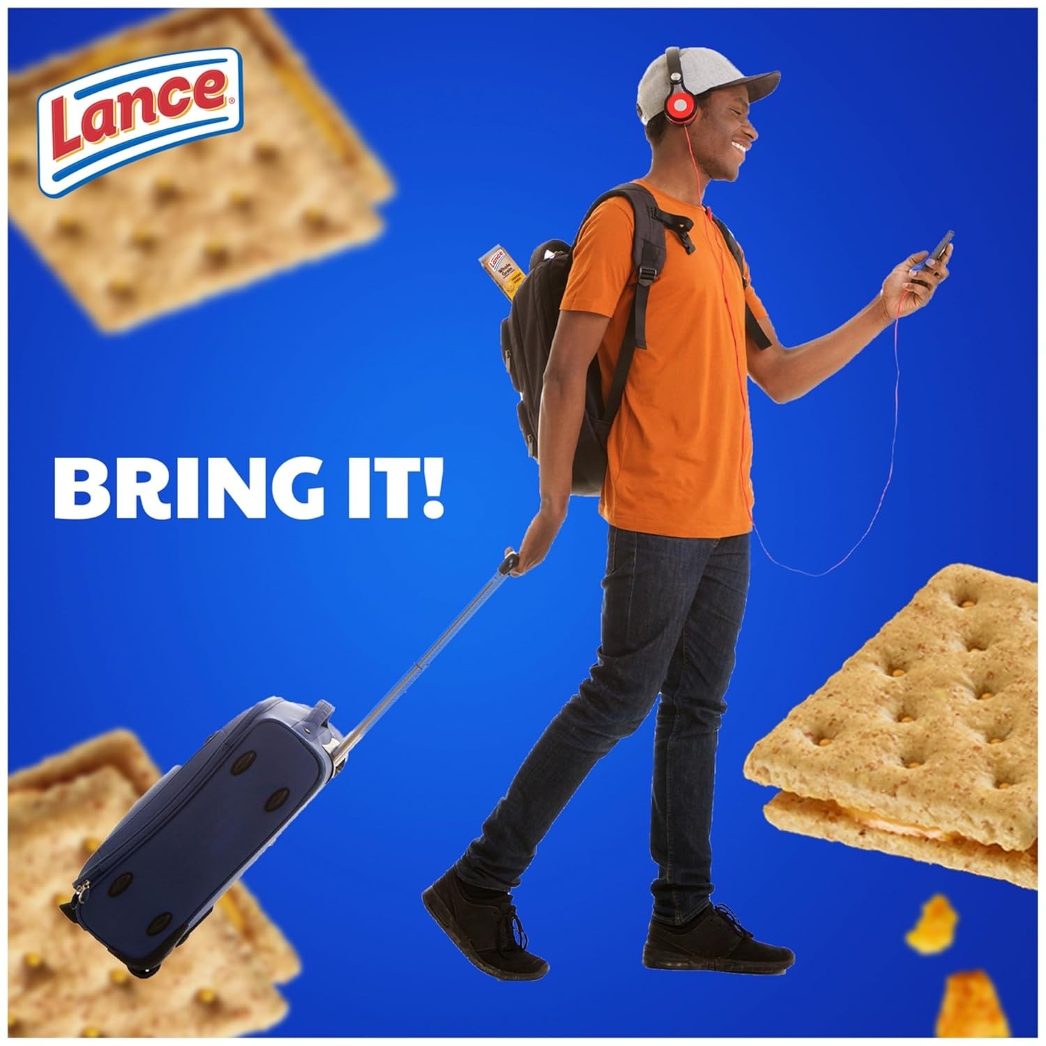 Lance Sandwich Snack Cookies Crackers, Whole Grain Cheddar Cheese, 10 Packs