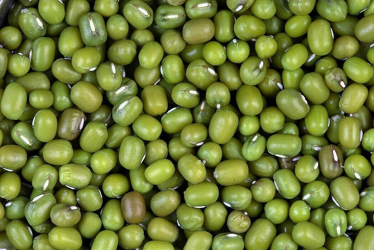 Organic Green Moong Mung Beans